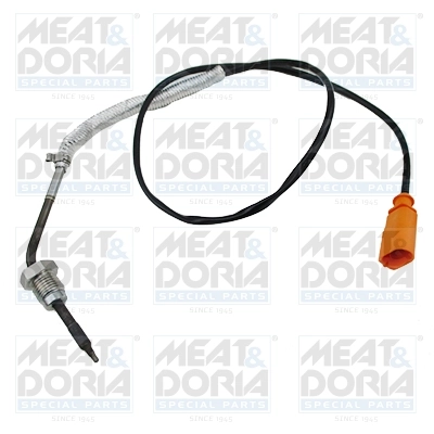 Sensor, exhaust gas temperature